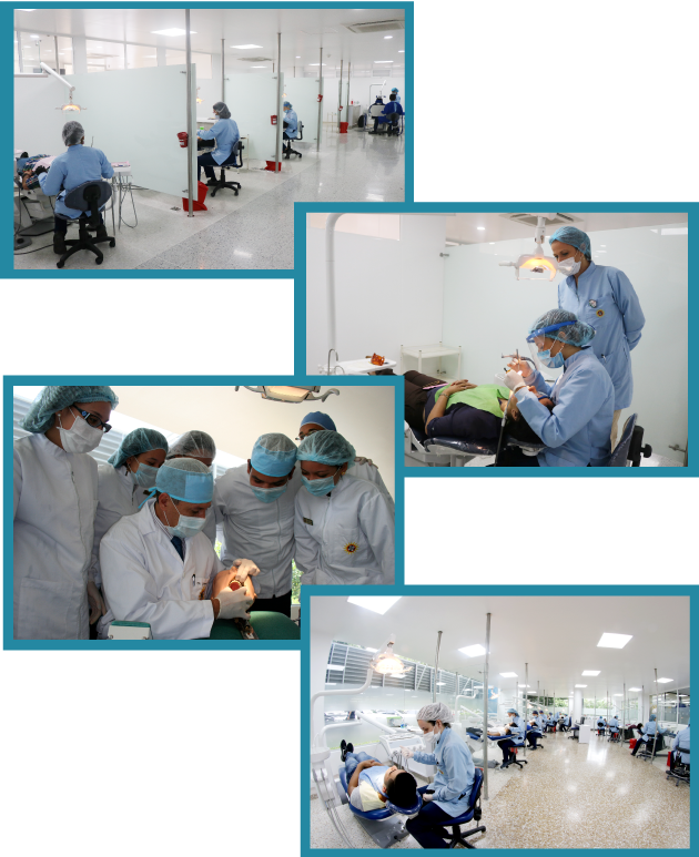 Mosaicos Clinicas Bucaramanga
